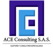ACE CONSULTING S.A.S